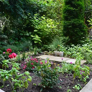 Center With A Backyard Бургас